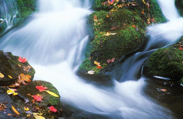 Robertson: “This small cascade is on the Roaring Fork Creek, rushing alongside the Roaring Fork Motor Drive.”