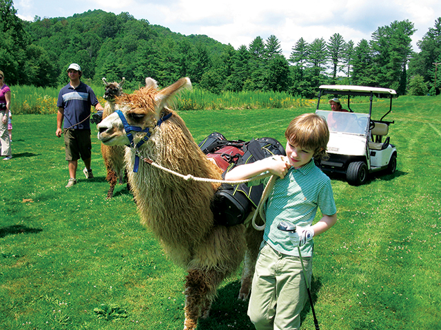 Golfers’ kids can help lead llamas around the course. Mark English, in cart, and Eric Henson, on foot.