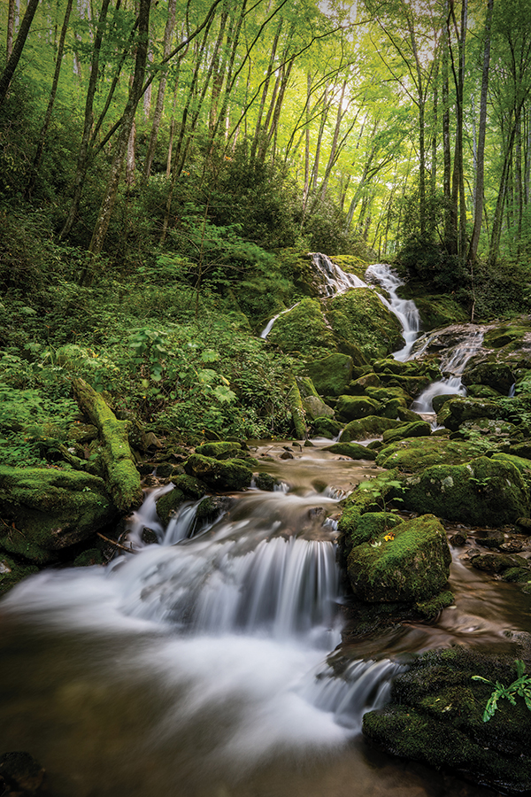 Little Bird Falls, North Carolina. From the photographer: “This scene was photographed after heavy rains, since the tiny watershed needs lots of volume to photograph well. This particular scene drew me in with its delicate moss-covered rocks, abundance of vegetation and the thick canopy overhead.”