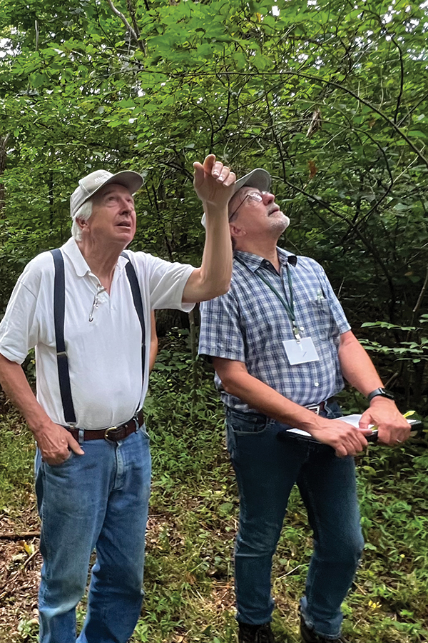 Scrivani and Dr. Fred Hebard, retired chief scientist for TACF, observe trees in Lesene’s hybrid chestnut forest.