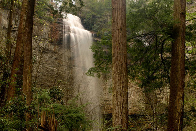 Fall Creek Falls, plummeting 256 feet, is the namesake and centerpiece of the state park located on the Cumberland Plateau.