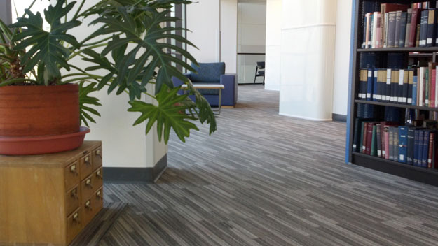 In the Goucher College library.