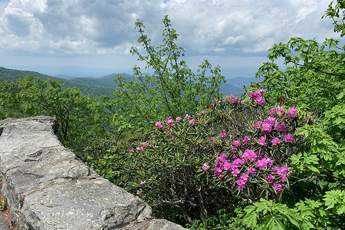 A punch of summer color is always a pleasing sight when driving the parkway