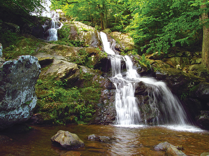Dark Hollow Falls and Rose River Falls. (4.0-mile loop, moderate). This Shenandoah National Park walk includes “numerous cascades along what is arguably the prettiest steam in the park,” Hogcamp Branch. GPS TRAILHEAD COORDINATES: 38.533567, -78.420783
