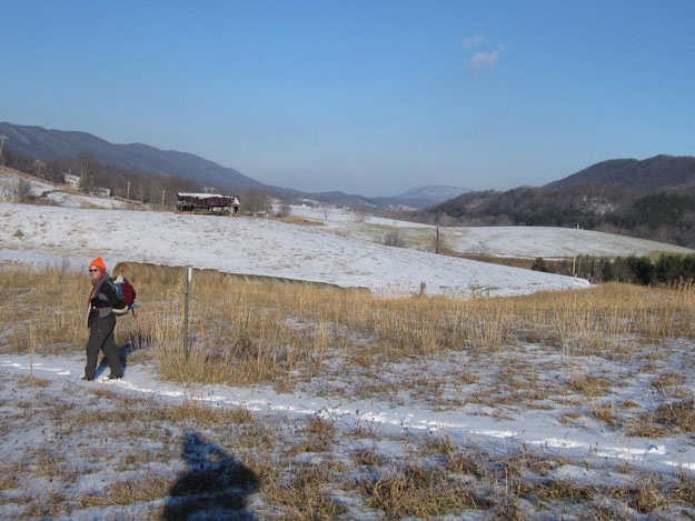 Along the Appalachian Trail just south of Va. 785 crossing, looking north up the Catawba Valley with Tinker Cliffs in the background.