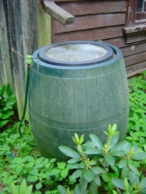 Recommended for gardeners, seasoned or otherwise: a barrel to catch rainwater.