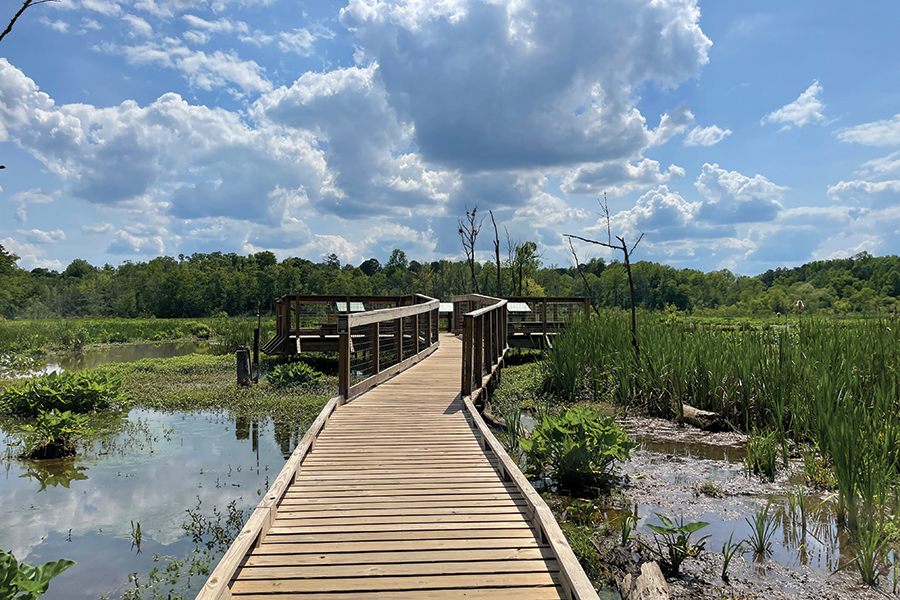 West Bay Boardwalk at Conestee Nature Preserve in Greenville County, South Carolina, connects to trails and offers immersive views of local ecosystems.
