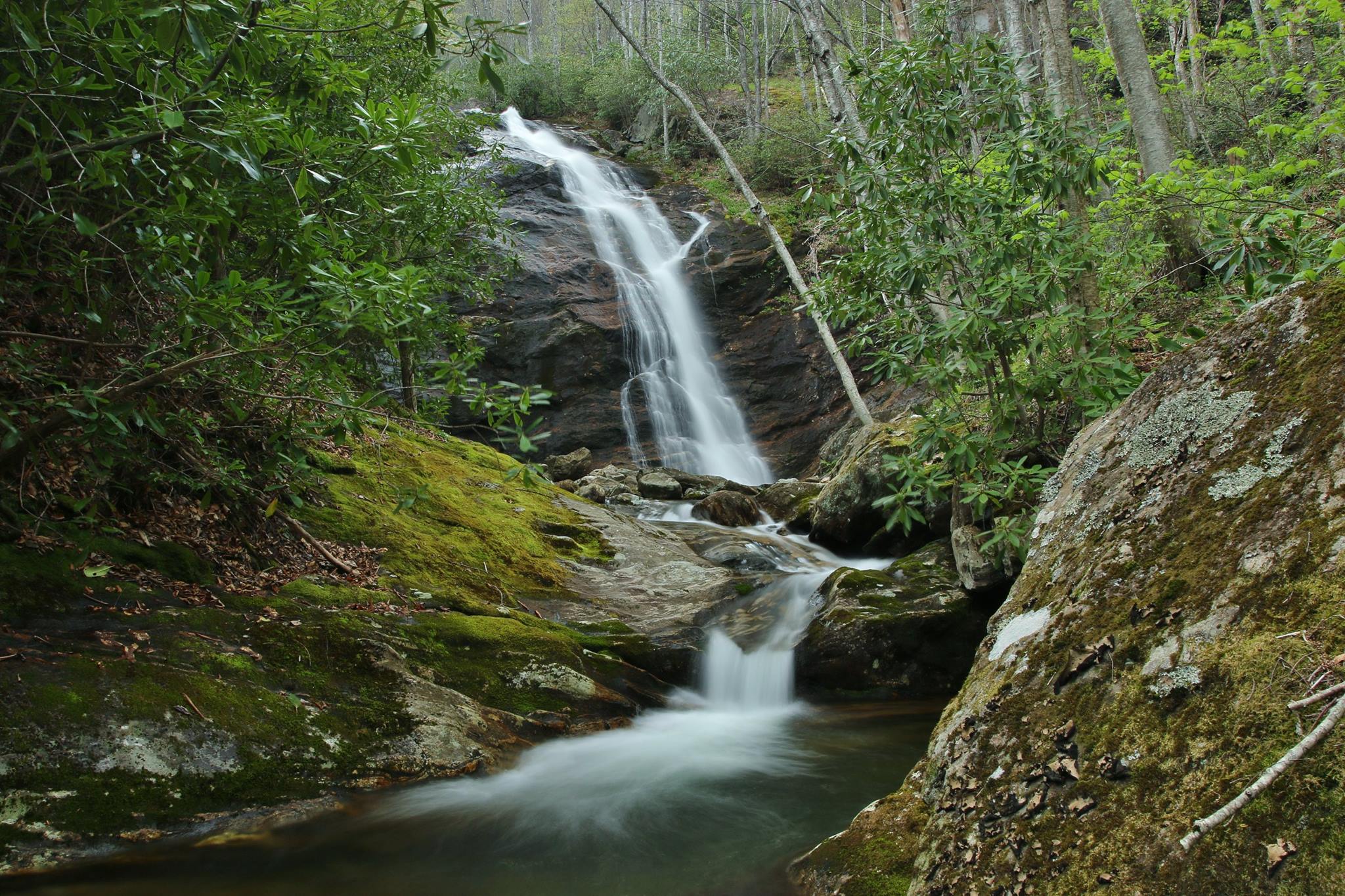 Wash Hollow Falls

Shining Rock Wilderness, Pisgah National Forest
Photo Taken 04/30/17