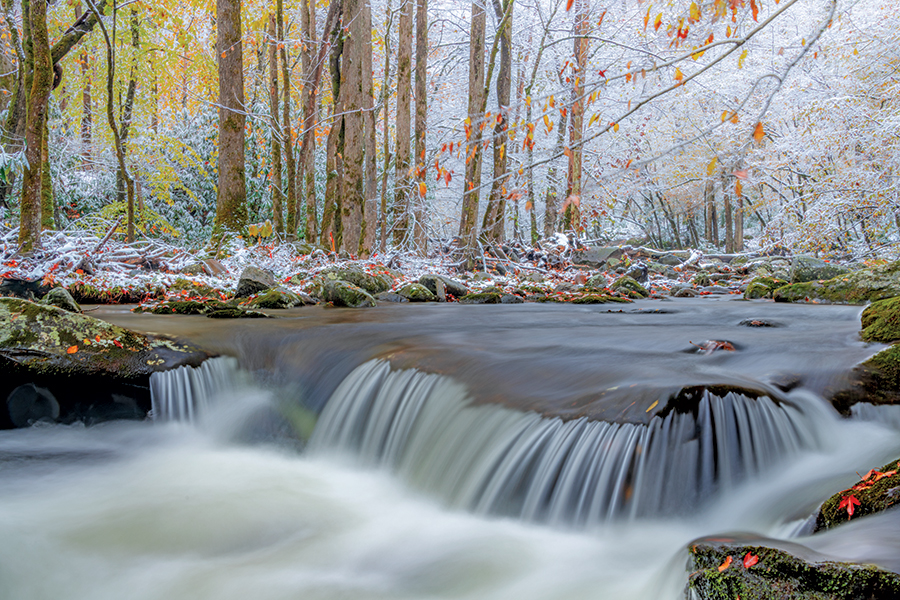 In the Great Smoky Mountains National Park, the dark water of middle prong little river slips over a small rock ledge against a background of remnant fall colors and a dusting of light snow. From the photographer: “the relatively rare coming together of fall and winter in one setting almost always makes for an interesting combination.”