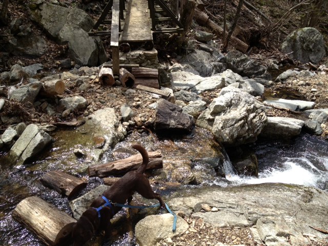 View after crossing the washed out bridge