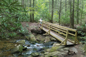 Several bridges help hikers make their way over the stream.