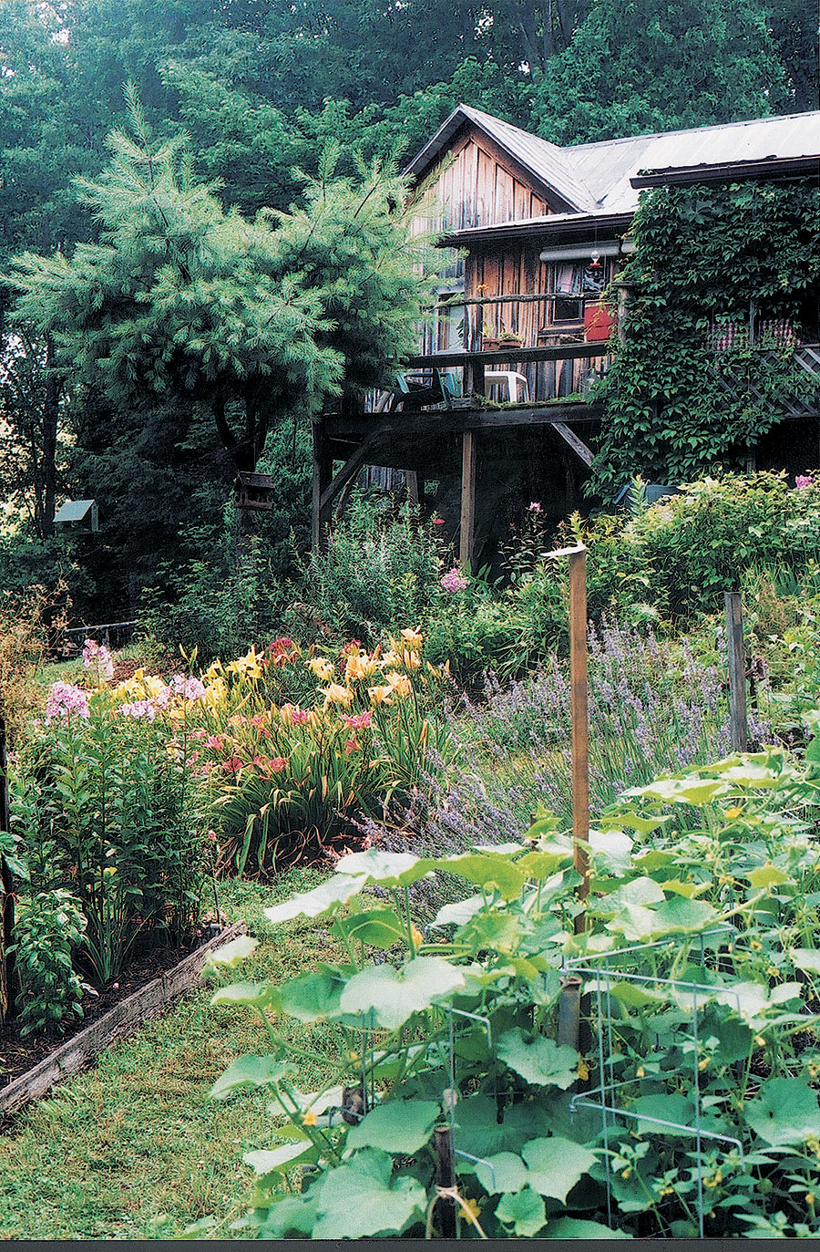 Elizabeth Hunter’s cabin in Mitchell County, North Carolina, was surrounded by plantings and the animals that loved them.