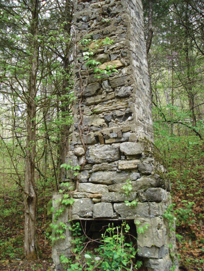 This old chimney in East Tennessee holds many stories, not least of which are those that come into the mind of a visitor to its site and surroundings.