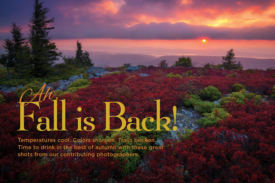 The sun rises upon the red carpet at Dolly Sods Wilderness in West Virginia.