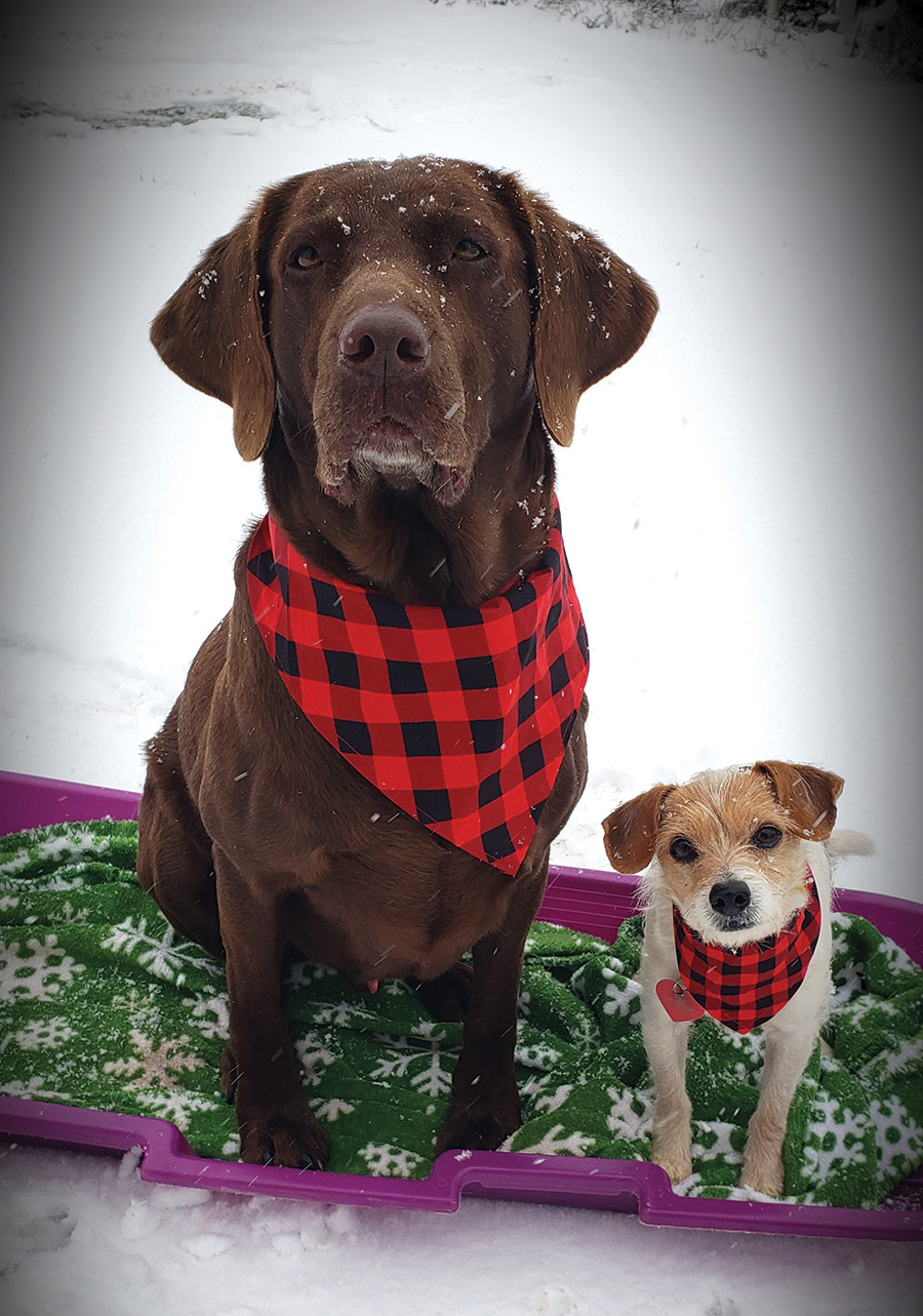 Todd and Tanner, Home Sweet Home.