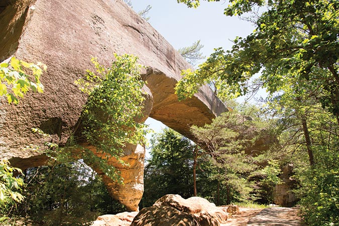Kentucky’s Red River Gorge has the highest concentration of arches in the East.