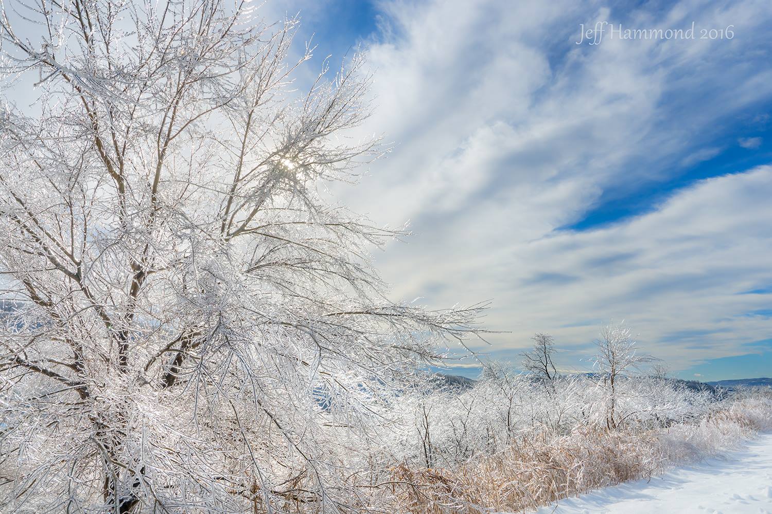 Roanoke was cloaked in a layer of ice this morning until shortly after the sun came out. I found some pretty trees and waited about 1/2 hour until the pretty sky moved over my way.