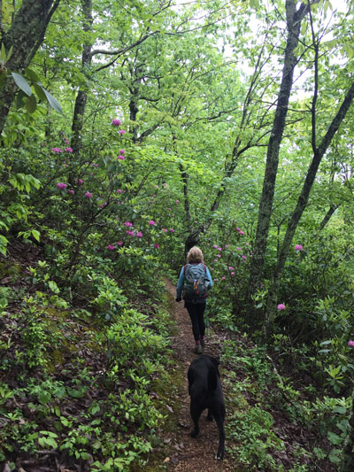 Gail along the Appalachian Trail near Wilson Creek.