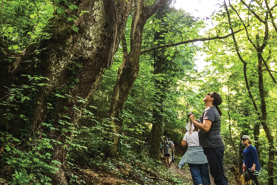 Tennessee’s Urban Wilderness Gateway Park provides access to a comprehensive system connecting urban life with outdoor activities and family fun.