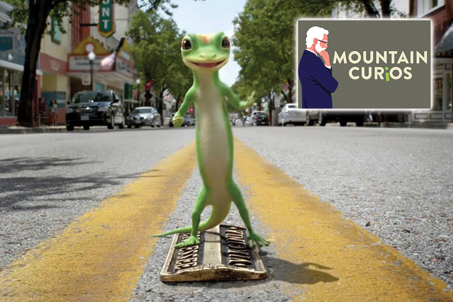 The GEICO gecko was the star of an ad that played on the two-state nature of Bristol, Tennessee-Virginia’s State Street, the center of which is the border between the two states.