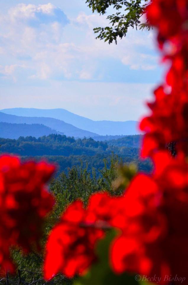 View from High Meadows Country Club, Roaring Gap NC. This past weekend.