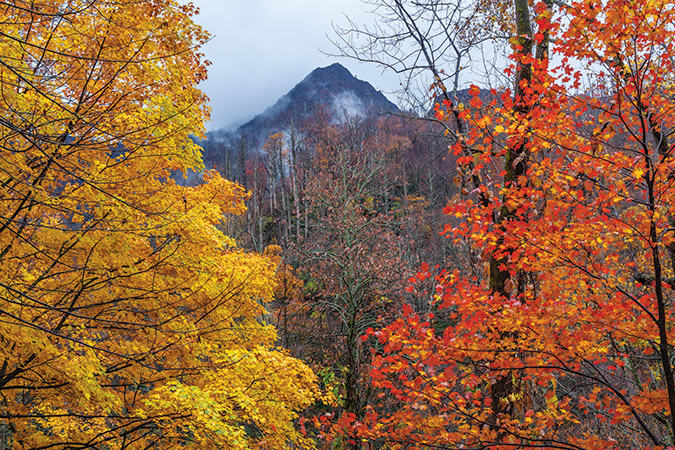 Chimney Tops in November. At elevation 4,724 feet, Chimney Tops is a double-capstone knob on the eastern slope of Sugarland Mountain in the Smokies. The trailhead to reach its summit is along Newfound Gap Road between Gatlinburg and the North Carolina state line.