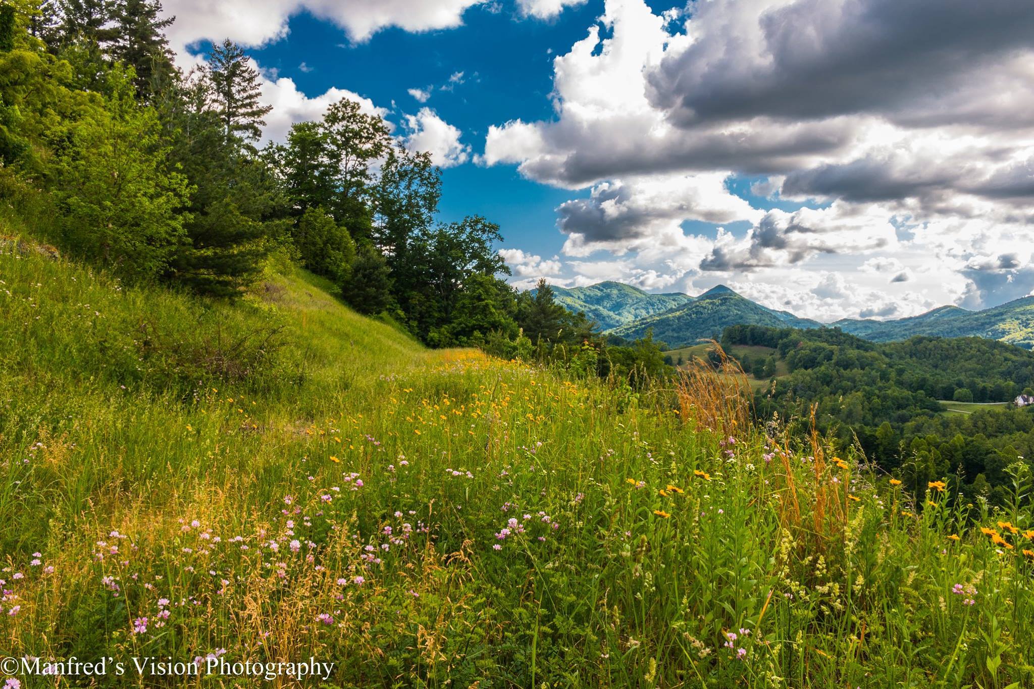Springtime in the mountains. North Carolina/Tennessee border area.