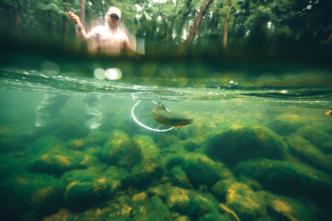 The Watauga River flows through Tennessee and North Carolina.