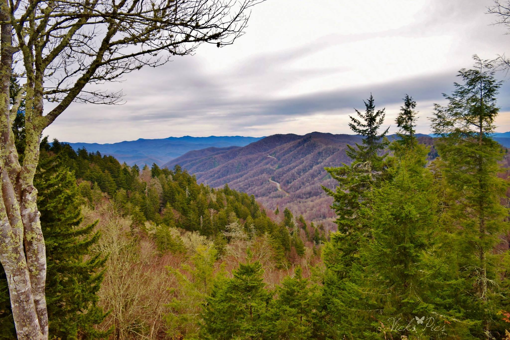 One of the views at so many of the overlooks on the Blue Ridge Parkway ''For Purple Mountains Majesty''