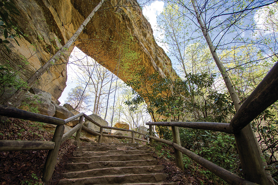 Natural Bridge State Resort Park