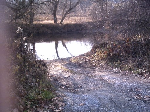 This picture was also taken on the Tazewell County side of the Clinch River looking across to the Russell County side.

This picture was taken on 22-Nov-2007 by Tim Vance