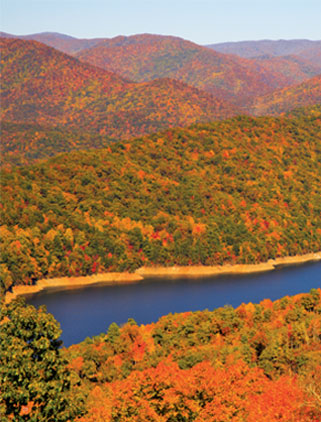 A bird's-eye view of the lake.
