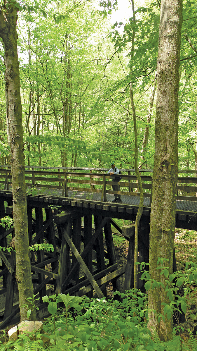 People who walk in a forest, such as West Virginia’s Hawks Nest State Park’s rail trail, experience  less anxiety and depression than urban walkers.