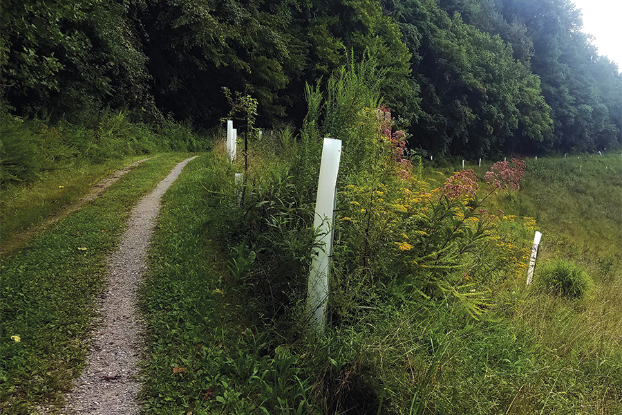 Miles of multiuse trails run through Bob Amos Park.
