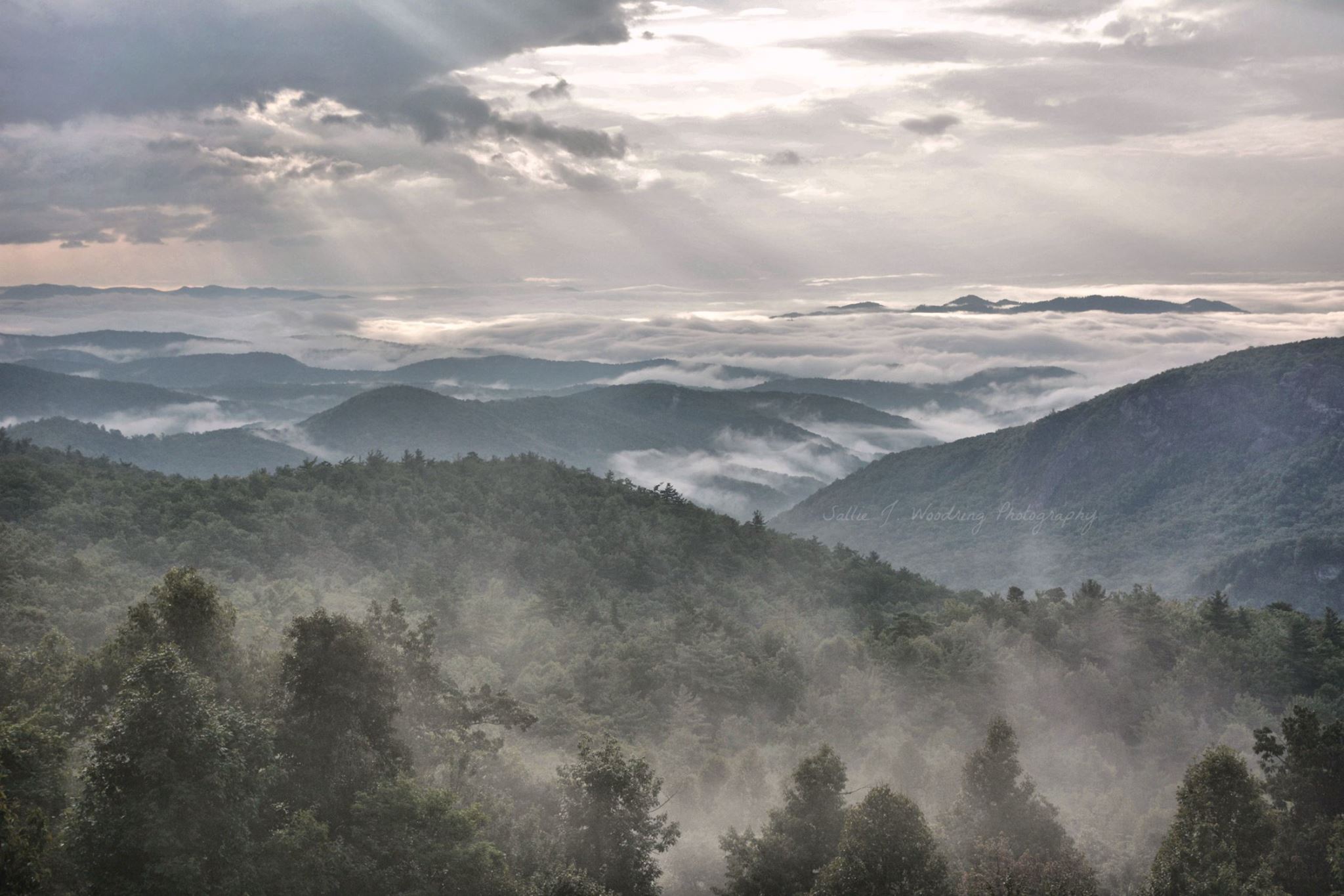 Some of the most beautiful images come after the sunrise. This morning from the Lost Cove Cliffs overlook on the Blue Ridge Parkway by Sallie J. Woodring Photography