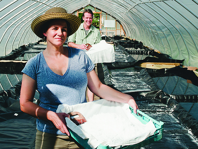 Nancy Bruns and her brother, Lewis Payne, have been harvesting salt since 2014.