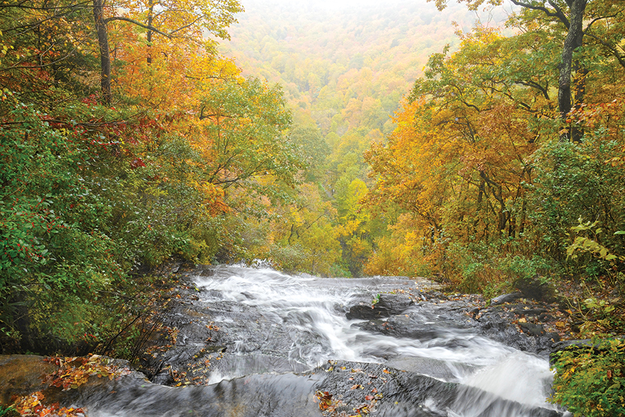 Amicalola Falls, Amicalola Falls State Park, Northern Georgia near Dawsonville. From the photographer: “On a foggy autumn day I ventured to the top of Amicalola Falls as the mist came and went. October colors were saturated by a gentle rain. The State Park not only showcases this imposing 729-foot waterfall—the third tallest cascading waterfall east of the Mississippi—and is the jumping off point for Appalachian Trail thru-hikers (an access trail from the park leads to Springer Mountain, the beginning of the trail for hikers traveling north).”