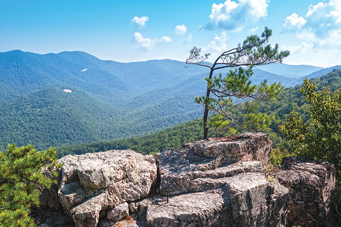 The Riprap loop hike offers a great vista.