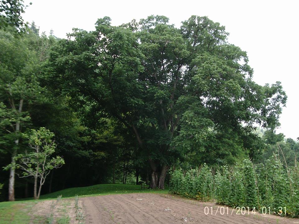 This property is very near to the property once owned by Betty Vance.