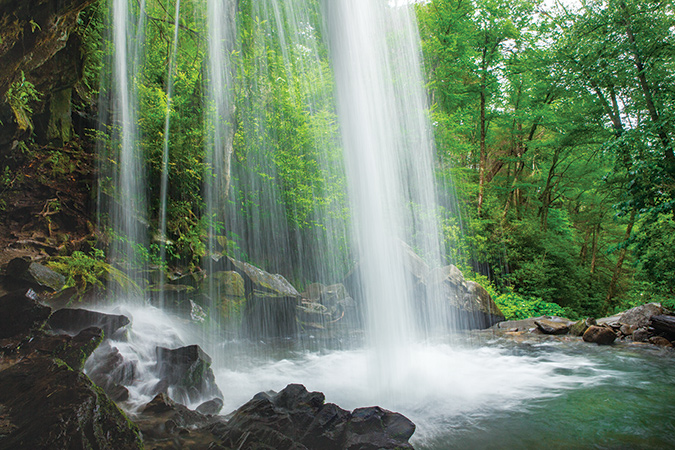 Walk behind the falls (May). The Trillium Gap Trail in the Tennessee Smokies arrives after a 1.5-mile hike through an old-growth hemlock forest at the basin of 25-foot Grotto Falls, and provides a rare opportunity to walk behind a waterfall.
