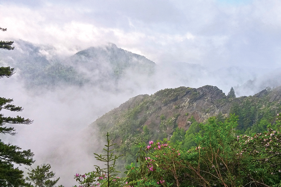 This view is from Alum Cave Trail, one of Josh Shapiro’s favorite spots in the Great Smokies.