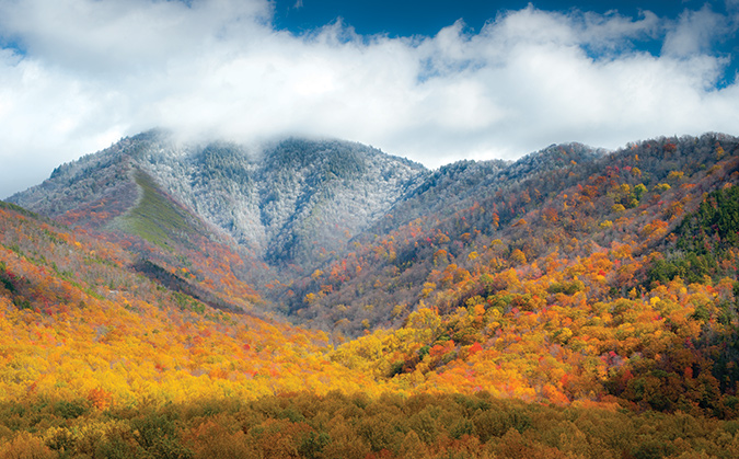 This is a view of Bull Head Mountain from one of the more popular overlooks along Newfound Gap Road just a few miles from Sugarlands Visitor Center in Great Smoky Mountains National Park. From the photographer: “The elevational difference between Bull Head and the valley below presents the stark contrast between winter and fall.”