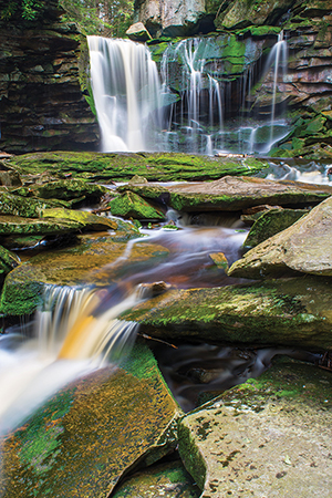 Elakala Falls in Black Water Falls State Park, West Virginia, captured on a warm summer day.