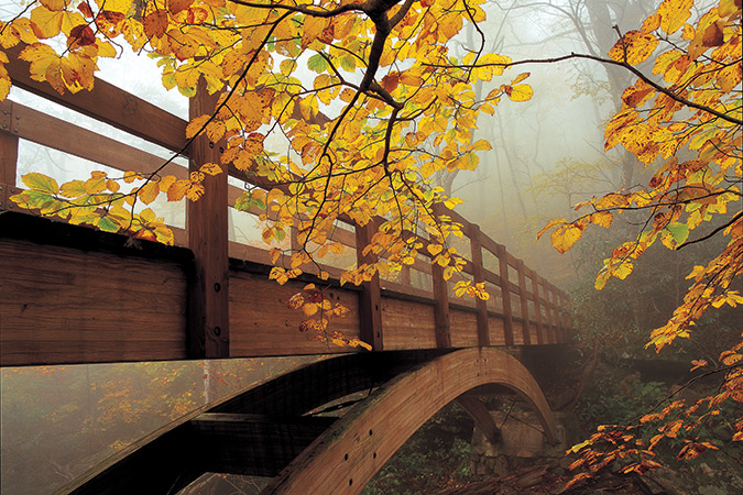 The 13.5-mile Tanawha Trail utilizes several arched bridges and boardwalks that are designed to blend with, and protect, the fragile ecosystem it passes through. Completed in 1993, this trail is accessible from several overlooks along the North Carolina Blue Ridge Parkway between mileposts 299 and 305.