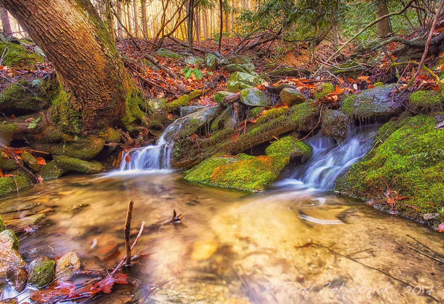 Where the water comes from the mountain.....Camp Alta Mons, Montgomery Co, VA