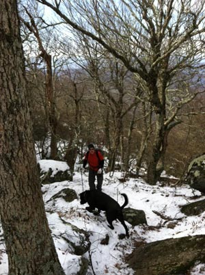 Kurt and Cookie like snow, especially in early November.