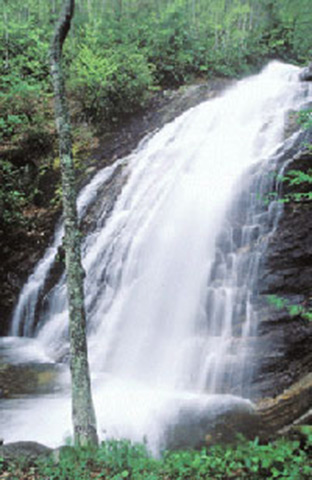 It’s one of three cascades visible from N.C. 215 below the Blue Ridge Parkway.