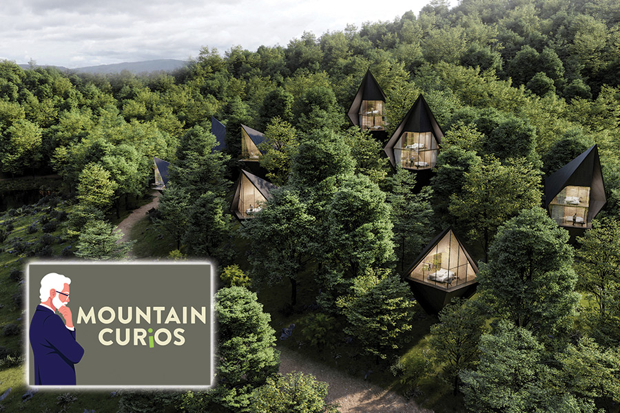 The Treehouses at Dawson Lake offer a focus on nature.