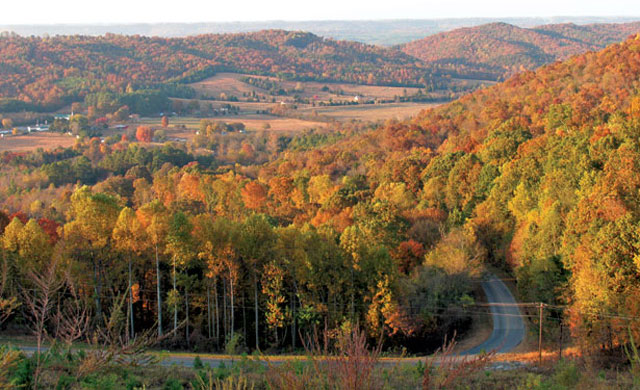 The sun glows in autumn leaves in this view, from Lookout Mountain toward the southern end of Fort Payne.