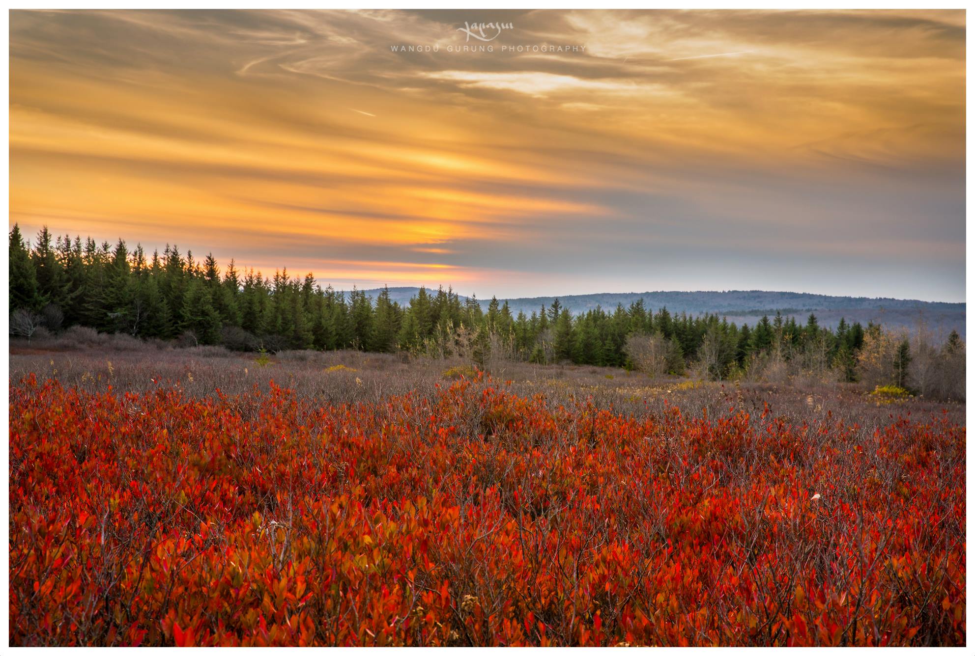 Sunset at Dolly Sods. WV